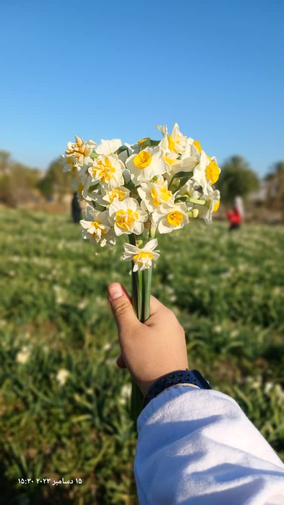 اردوی یک روزه نرگس زار خفر شیراز